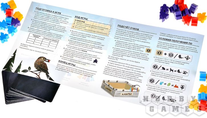 Альпы фото 11