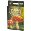 Грибы и корни: Шёпот леса