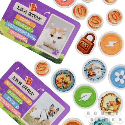 Волшебная бродилка в стране знаний фото 7