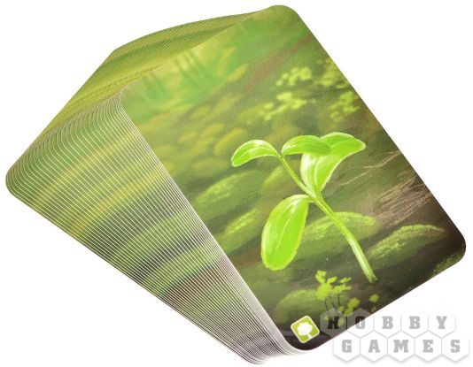 Смешанный лес: На опушке [Предзаказ] фото 5