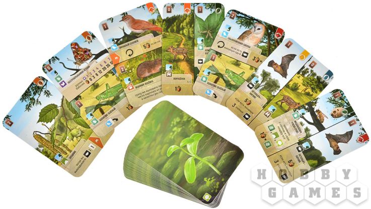 Смешанный лес: На опушке [Предзаказ] фото 6