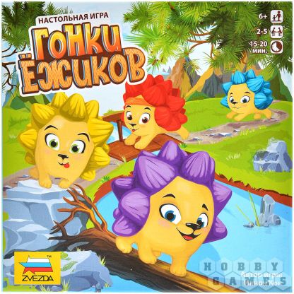 Гонки ёжиков фото 2