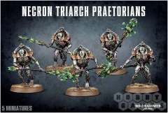 Necron Triarch Praetorians/Lychguard
