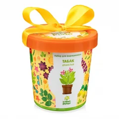 Happy Plant: Табак душистый
