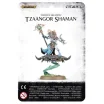 Tzeentch Arcanites Tzaangor Shaman