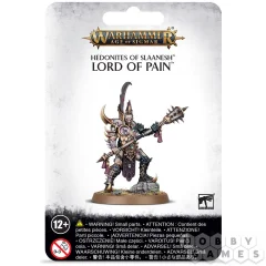 Hedonites Of Slaanesh: Lord Of Pain