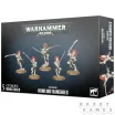 Craftworlds Howling Banshees