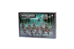 Dark Eldar Wyches