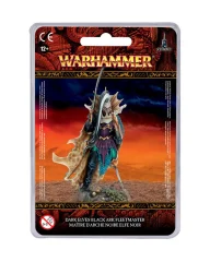 Dark Elves Black Ark Fleetmaster