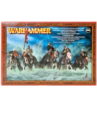 Vampire Counts Black Knights/Hexwraiths