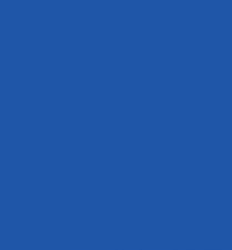 Layer: Altdorf Guard Blue