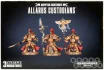 ADEPTUS CUSTODES ALLARUS CUSTODIANS