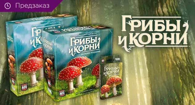 Грибы и корни