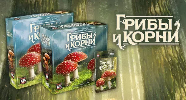 Грибы и корни
